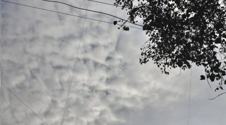 Untitled design 7 9 MP Weather: Winter has slowed down in Madhya Pradesh, western disturbance has increased the temperature, severe cold will occur soon